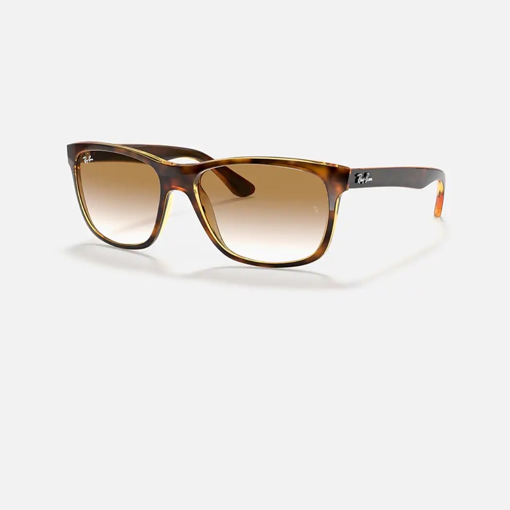 Ray-Ban Tortoise Brown Sunglasses